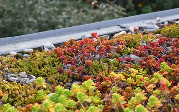the cost of Fankerton green roof installation
