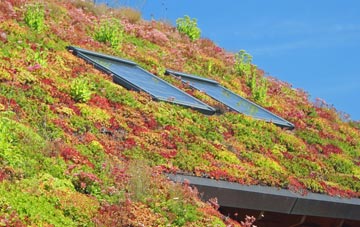 Fankerton living roof systems