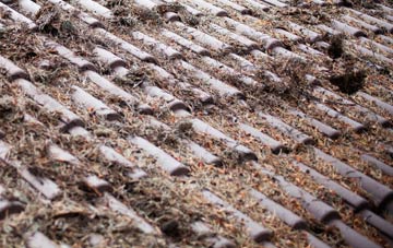 Fankerton roof cleaning companies