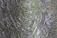 Fankerton fibreglass roof work